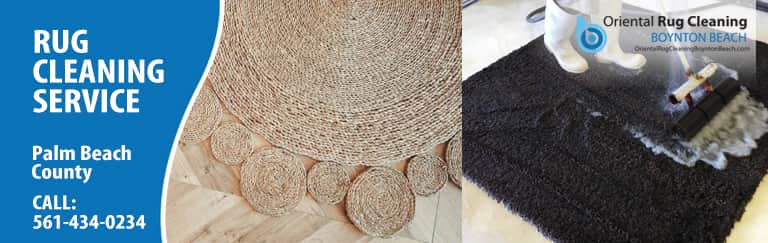 Specia Sisal Rug Hand Cleaning